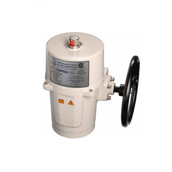 Bộ điện điều khiển van P7-24V AC/DC Promation